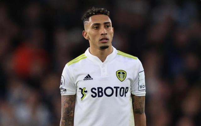 可能会成为 可能会成为